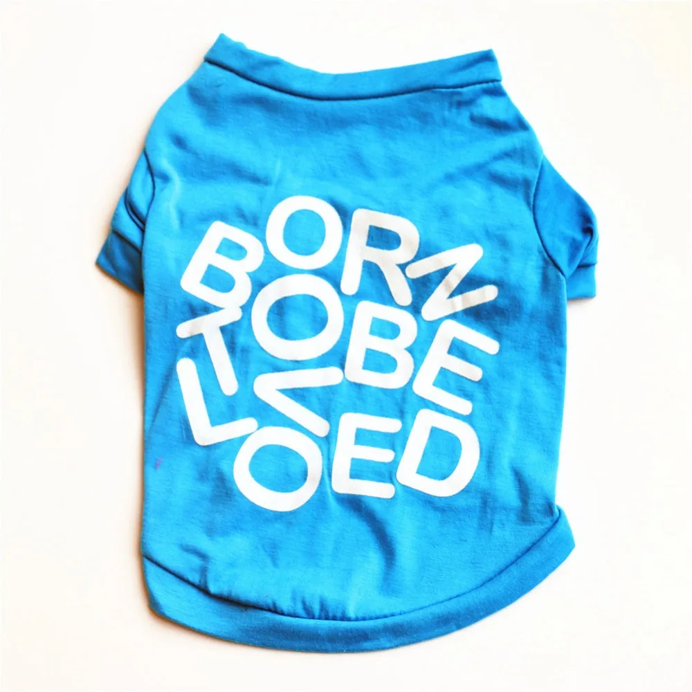 5268461526_361259826