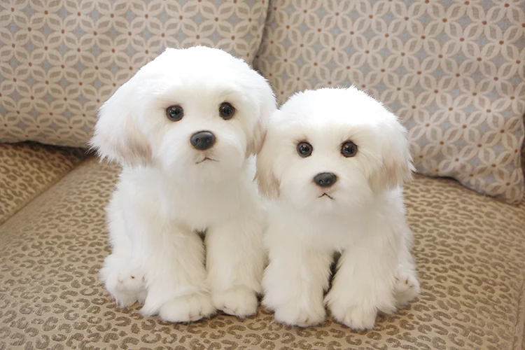 Filhote de Cachorro de Pelúcia Brinquedo do Bebê Presente de Aniversário para Crianças Bichon Frise Vida Real Pelúcia Bonito Kawaii Fofo Miúdo Boneca Dropshipping 2 Pçs 7 fofo brinquedo do bebê miúdo boneca presente