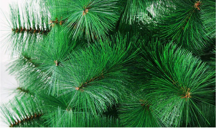 3659998434_1702694078
