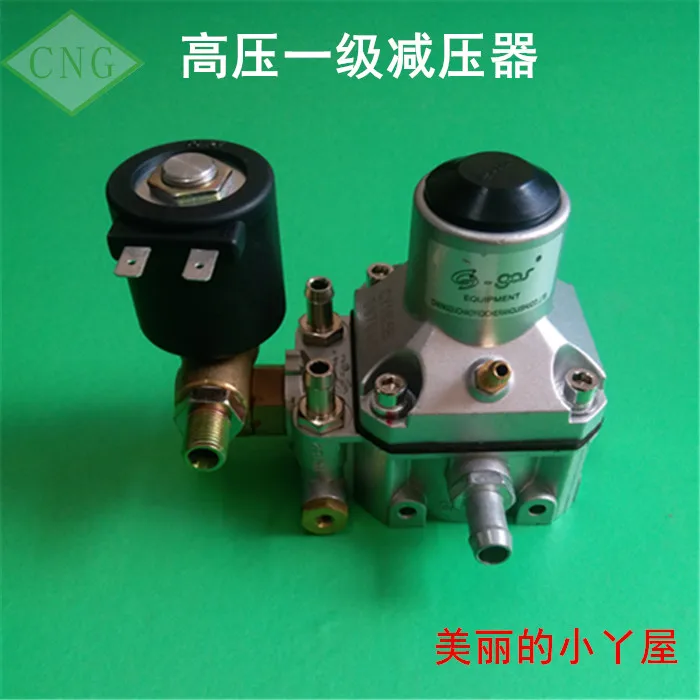 CNG Multi-point direct injection pressure reducing valve Landi Renzo primary pressure reducer gas