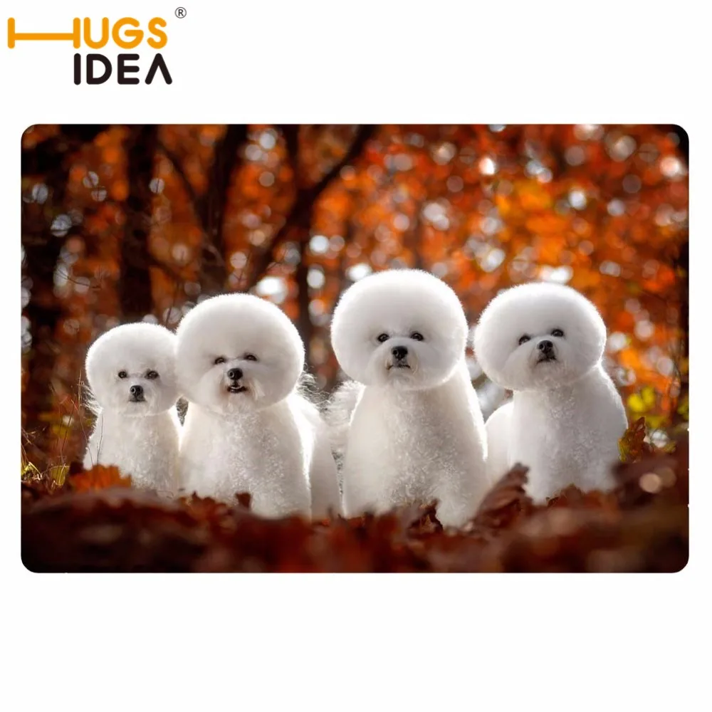 HUGSIDEA бишон фризе дверь для собаки ковер ванная комната водопоглощающий нескользящий коврик Забавный Придверный коврик для двери дома коврики 40*60 см