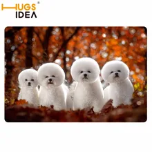 HUGSIDEA бишон фризе дверь для собаки ковер ванная комната водопоглощающий нескользящий коврик Забавный Придверный коврик для двери дома коврики 40*60 см