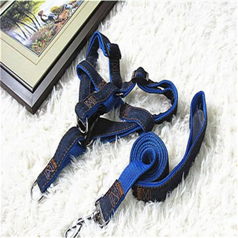 dog collar (2)