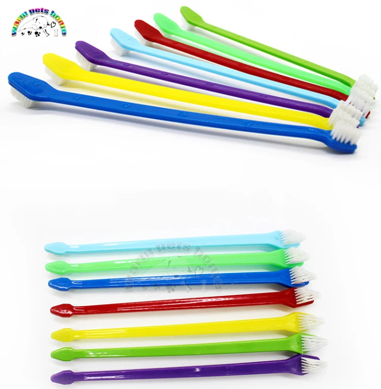 toothbrush for a dog