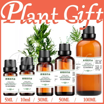 

100% pure plant Herbal medicine oils Artemisia annua L herbal oil Essential oils traditional Chinese medicine oil