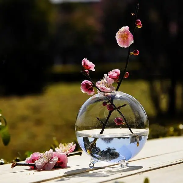 

10cm Clear Ball Glass Vase Terrarium Hydroponic DIY Table Garden Decor Flower Planting Transparent Tabletop Glass Vase