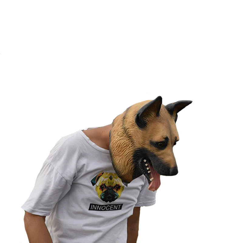 HTB1iZHeiaAoBKNjSZSyq6yHAVXa7