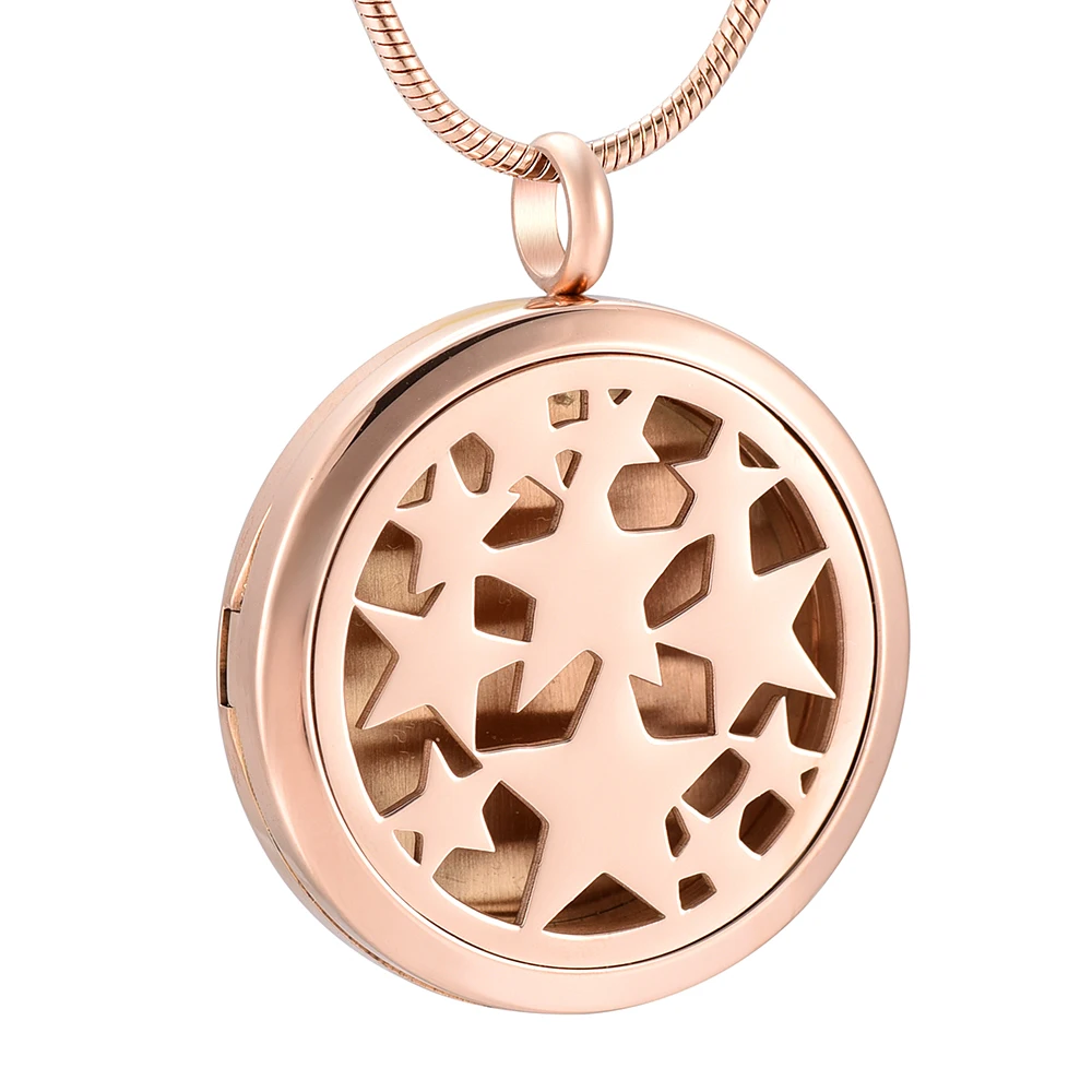 

IJP0129 Essential Oil Perfume Diffuser Lockets Clip Aromatherapy Rose Gold Plating Free 12 Pads