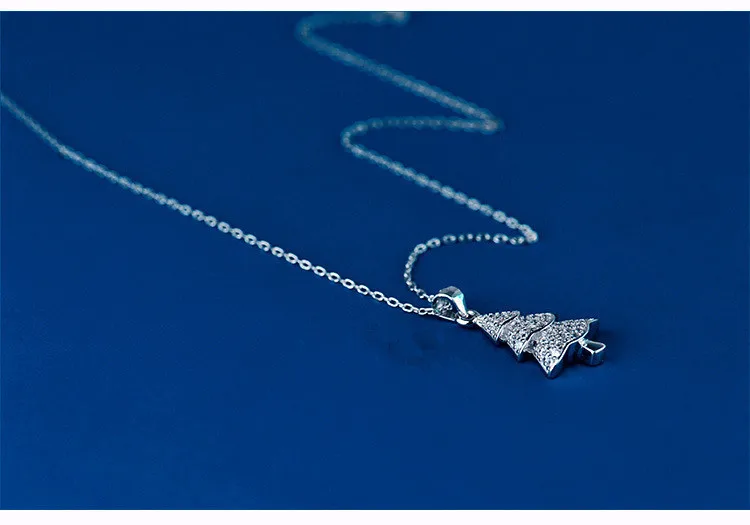 10163965670_1966409281