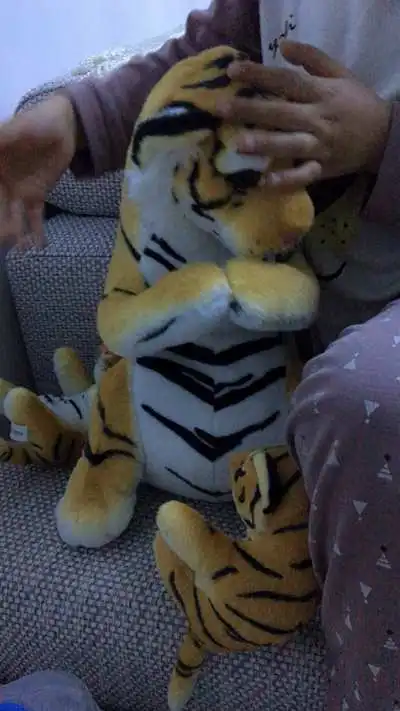 cute simulation mother and child tiger plush toy enlightenment cute  tiger baby doll photo props kids gift deco 48cm 19inch DY50673 (7)