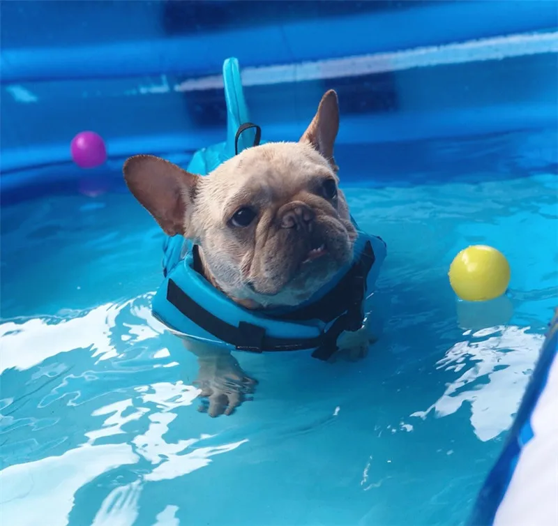 Shark Dog Life Jacket Safety Swimwear Dog Clothes Pet Life Vest Summer Dog Swimming Clothing French Bulldog Pug Jacket  11
