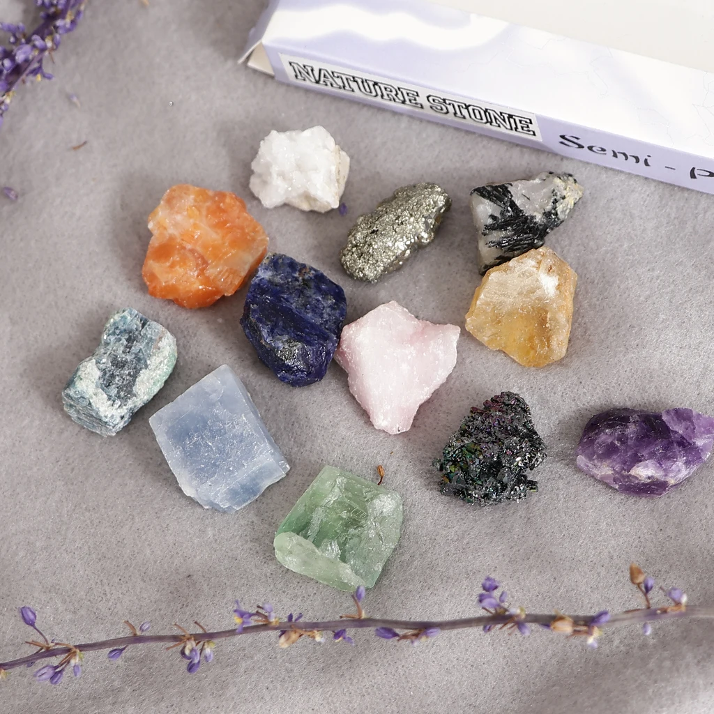 Rock and Mineral Collection PK546-5 Geology Science Kit Earth Science Toys
