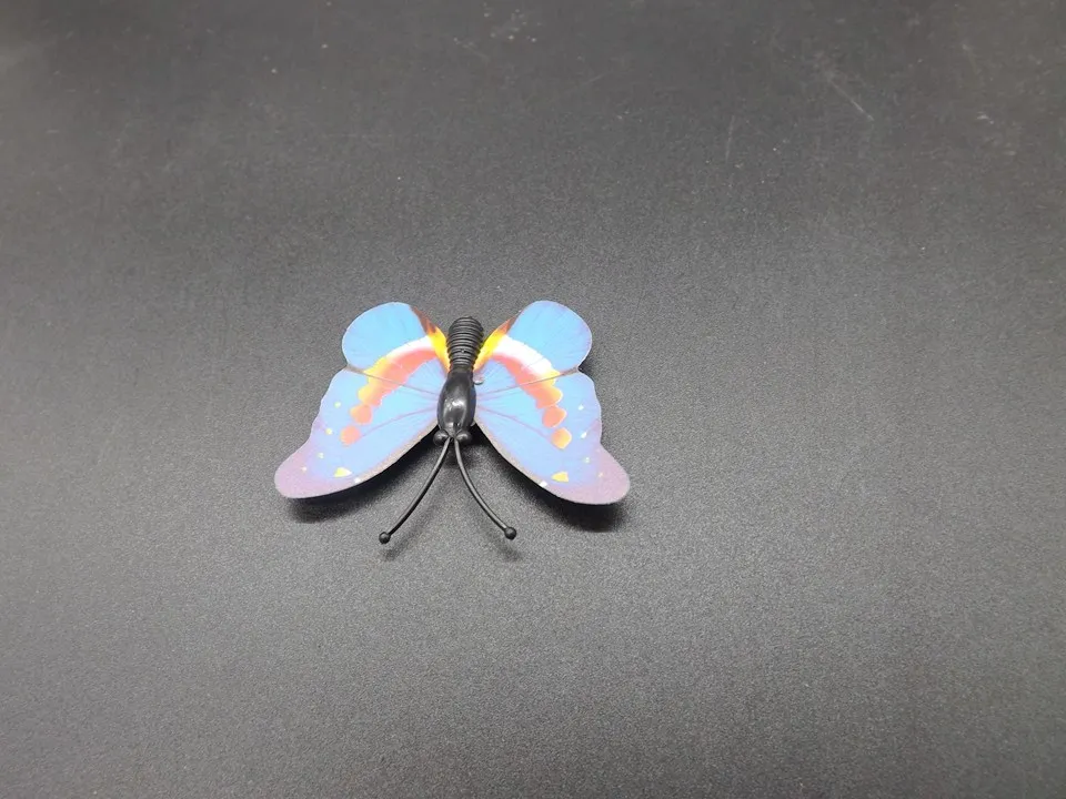 I266-Butterfly (8)