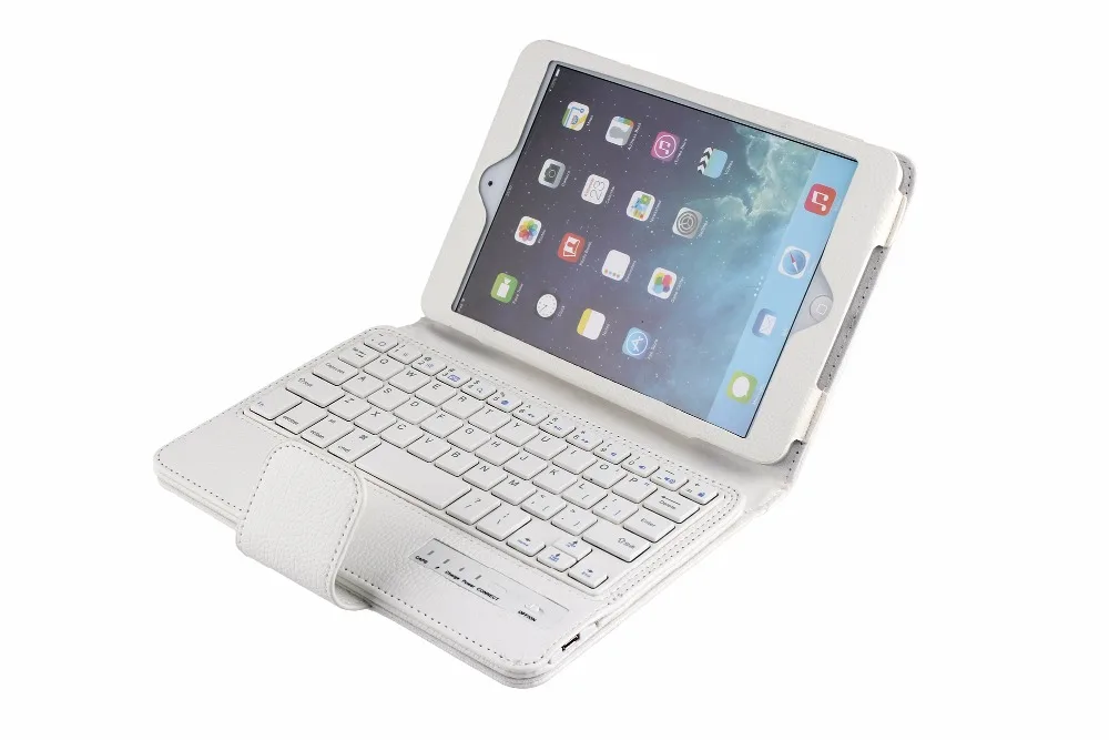 ipadmini 1 2 3(SPM01) (23)