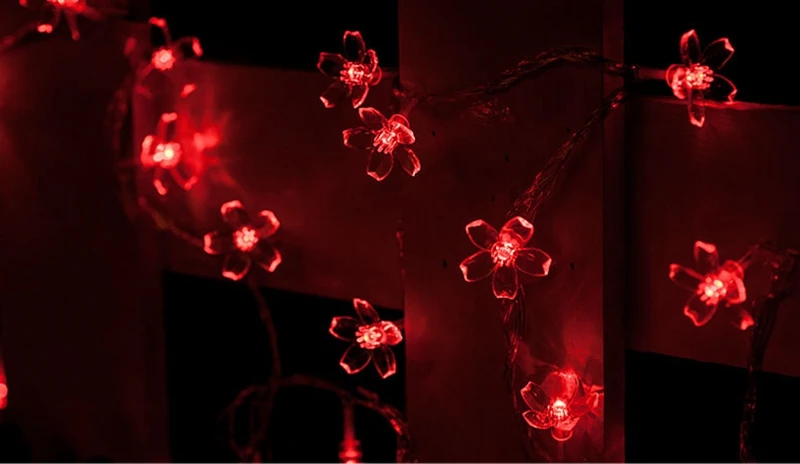 HTB1iT3iRFXXXXciXXXXq6xXFXXXd