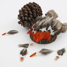 Venda por atacado! 20 pcs 5-10 cm de Comprimento ponta Vermelha Senhora Amherst Faisão penas da cauda para DIY artesanato decorações Dreamcatcher frango plumas