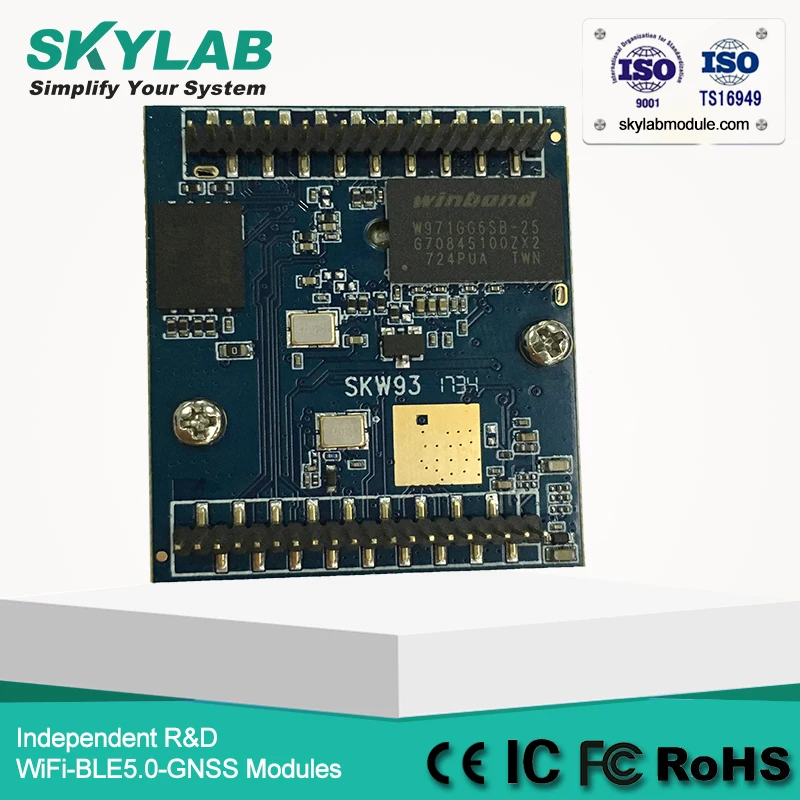 SKW93A-02