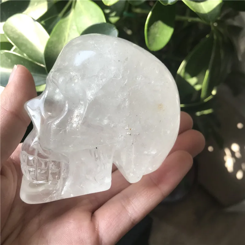 IMG_7110