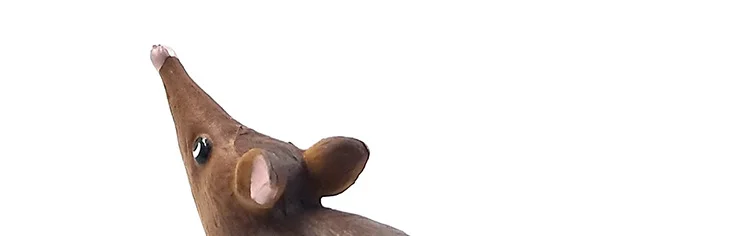 https://ae01.alicdn.com/kf/HTB1d5odtamWBuNjy1Xaq6xCbXXa4.jpg