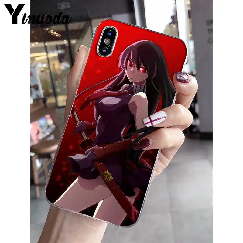 Akame Ga Kill Anime
