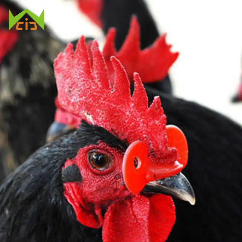 Wcic boca de frango galo óculos agricultura frango poedeiras galinhas blinders óculos de bico de frango fecho faisão 20 peças