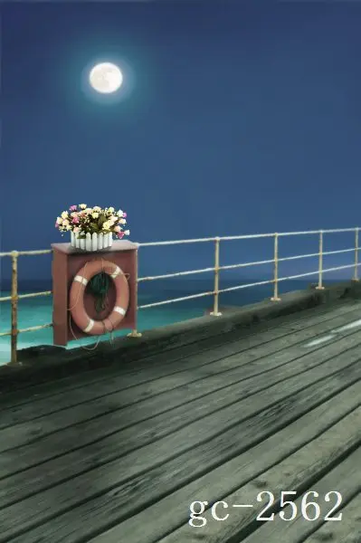 

5x10ft Vinyl Custom Photography Backdrops Props Photo theme Backgrounds GC-2562