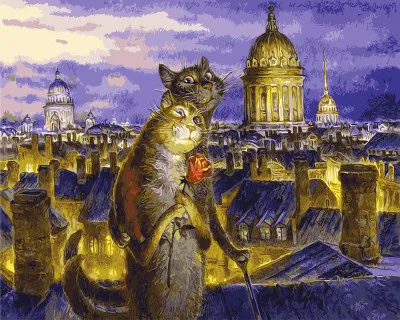 По Номерам По Фото Спб