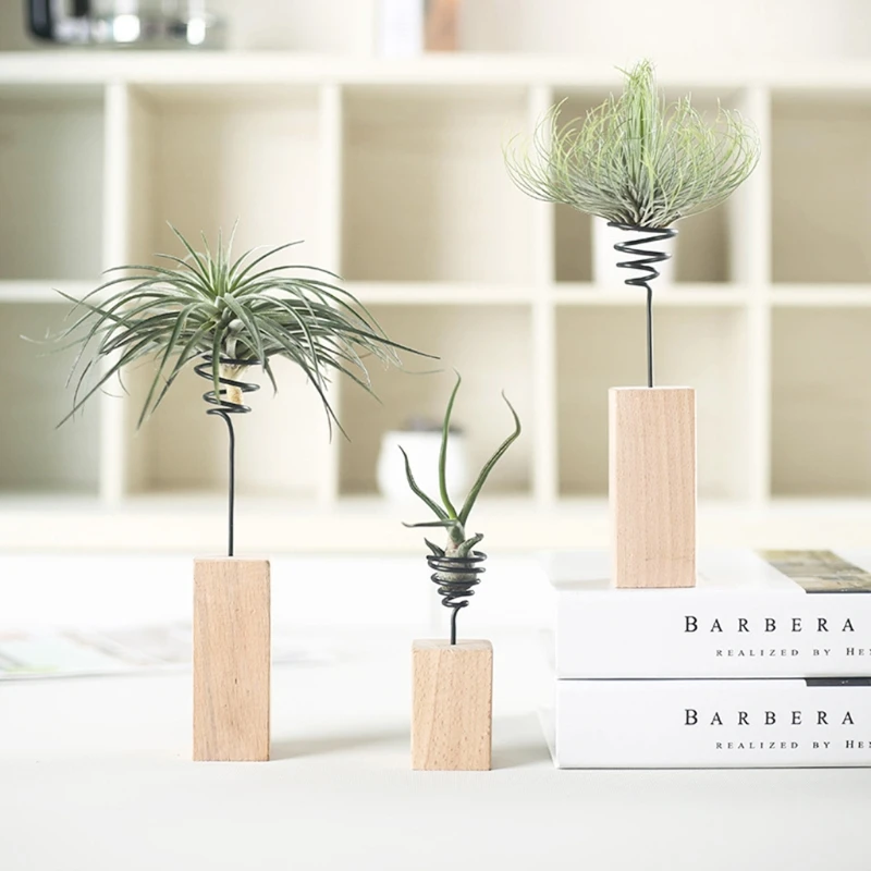 

Natural wood Air Plant Desk Wood Stander Tabletop Holder Room Miniature Gardening Decorations