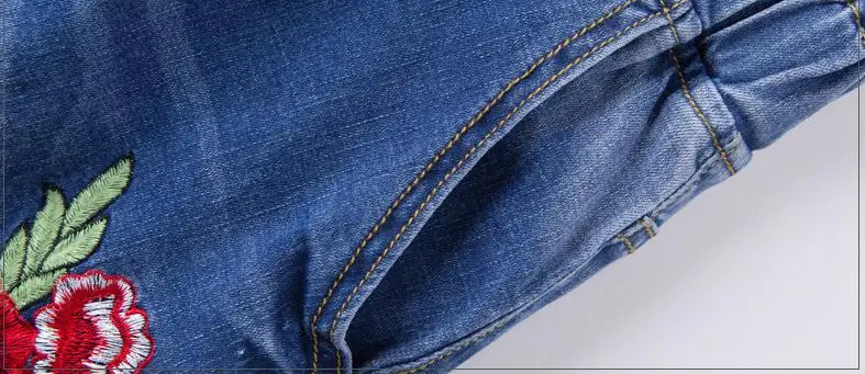 36020170225181240443