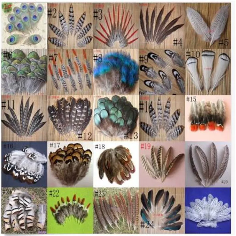 

Z & Q & Y Natural 25 kinds of pheasant feathers 20PCSDIY feather jewelry accessories makeup stage decoration