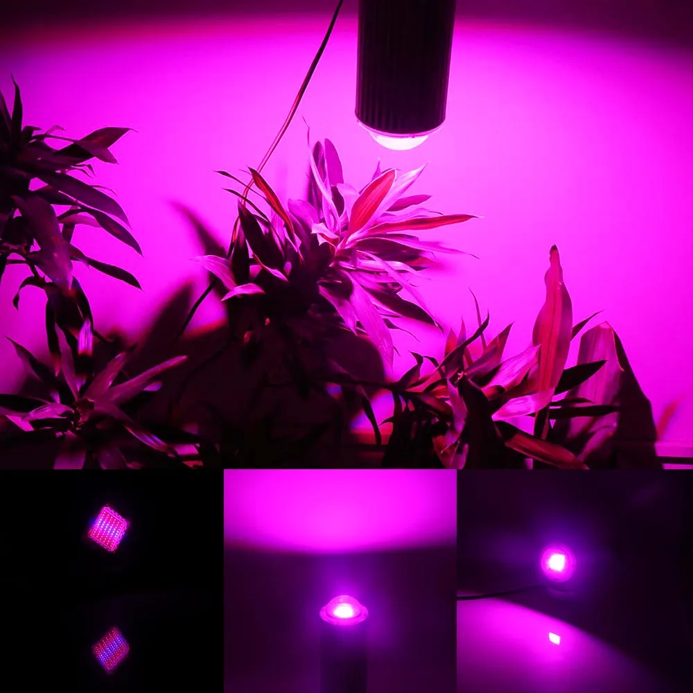 60 Светодиодный Вт 120 Вт 180 Вт COB LED Grow Light Phytolamp красный + синий прожектор рост лампы для растений Сад Цветок освещение Аквариум гидропоники