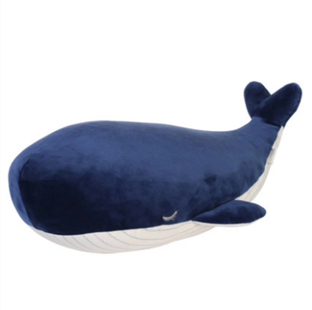 teddy whale