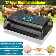 12 яиц инкубаторные яйца инкубатор цифровой контроль температуры Брудер для курицы, утки, птицы, голубей, перепелиных Новинка