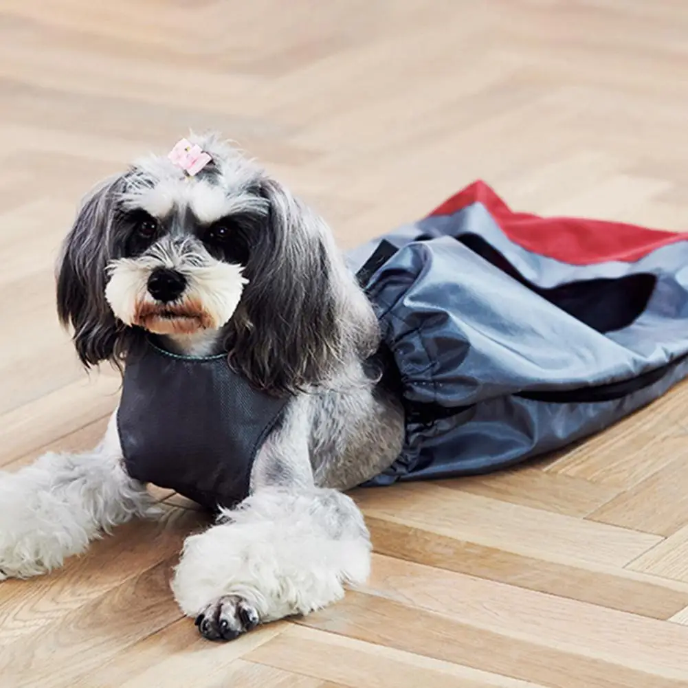 

None Pet Professional Wear Resistant Indoor Protective Bag Hind Disabled Leg Clothes Safety Simple High Quality Dog clothes