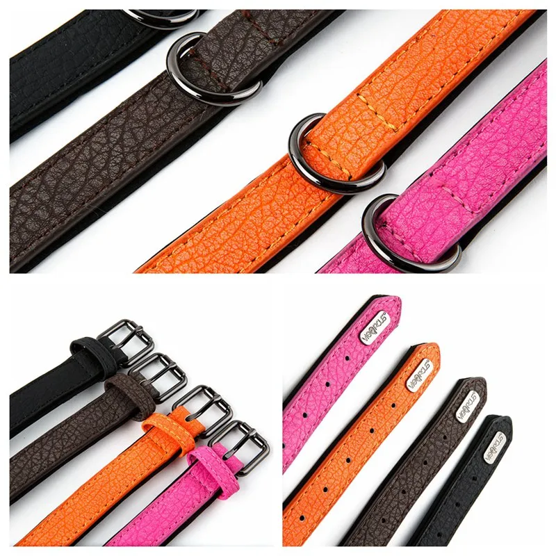 dog collar (1)