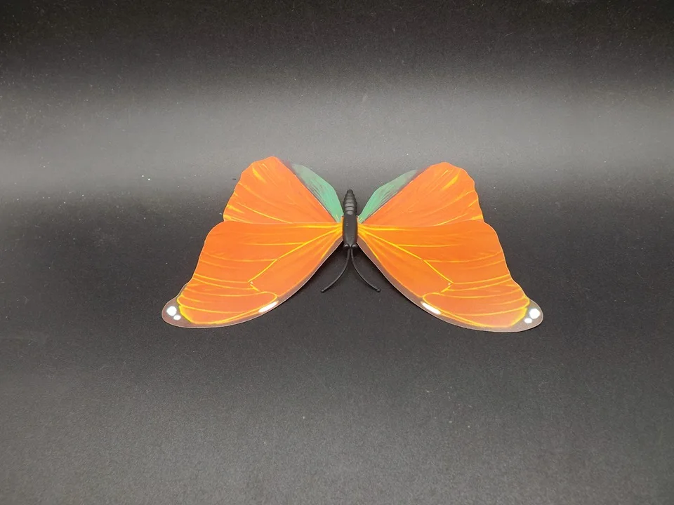 I226-Butterfly (5)