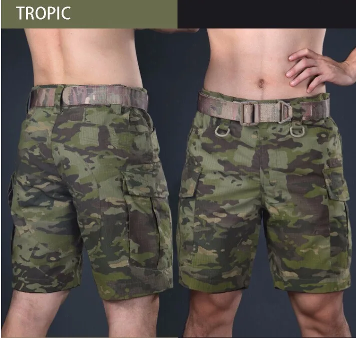 tropic