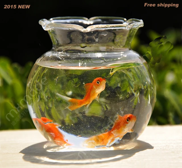 2015 New Arrival Hot sale Glass pots Fish pot Round flower vases