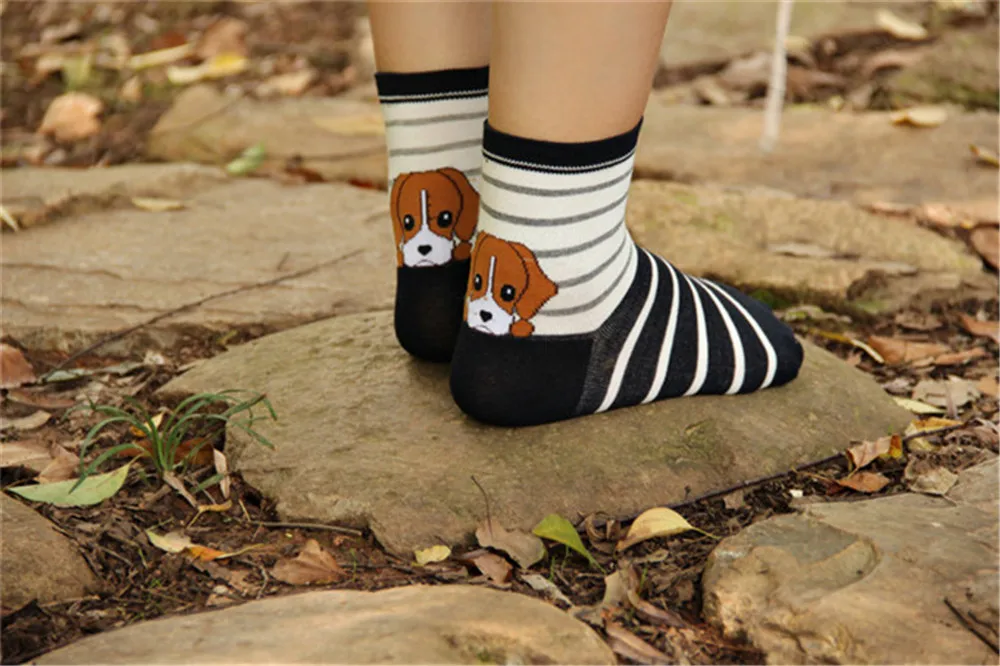 Горячая распродажа! Женские носки с принтом 6 пар в лоте осень-зима забавные носки для животных леди и женщин носок теплый хлопчатобумажные