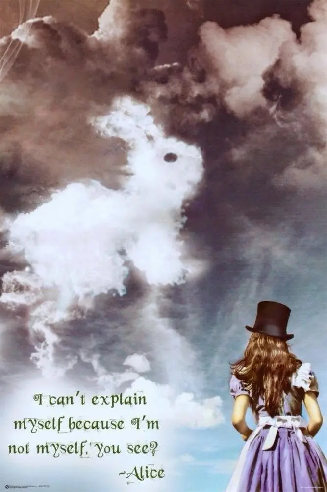 

Home Decor Alice in Wonderland Illusions-Silk Art Poster Wall Sticker Decoration Gift
