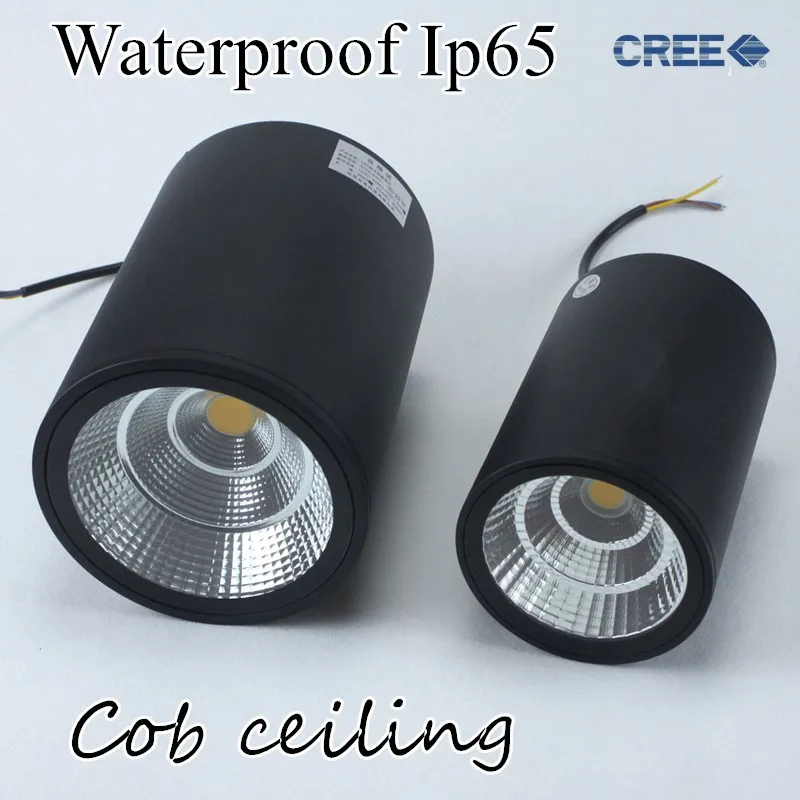 

LED waterproof Ip65 COB Ceiling outdoor Surface Mounted 12W 20W 30W AC85-265V warm white LED downlight Hotel villa home lighting