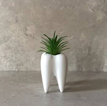 

Fleshy White Porcelain Mini Fleshy Ceramic Desktop Tooth Shaped Flower Pot Faux Succulent Flowerpot