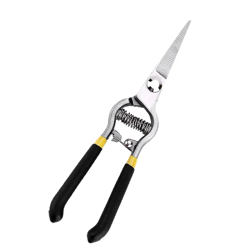 

Grafting Tool Grape Shears Horticultural Scissors Branch Fruit Branch Scissors