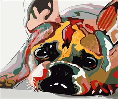  40x50