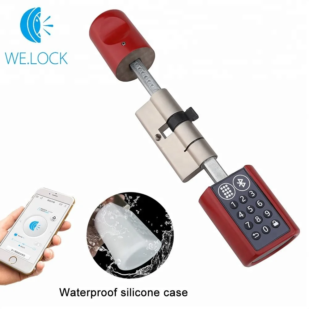 L6PB Smart Key Lock Cylinder Home Keyless Electronic Lock Cylinder Unlock With Code And Bluetooth Mobile App
