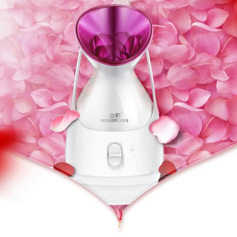 220V Face Steaming Humidifier Hot Fog Nano Spray Water Replenishing