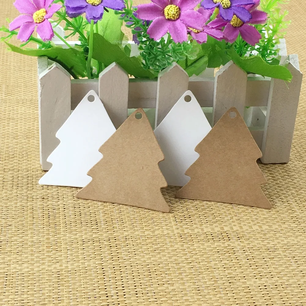 IMG_3534