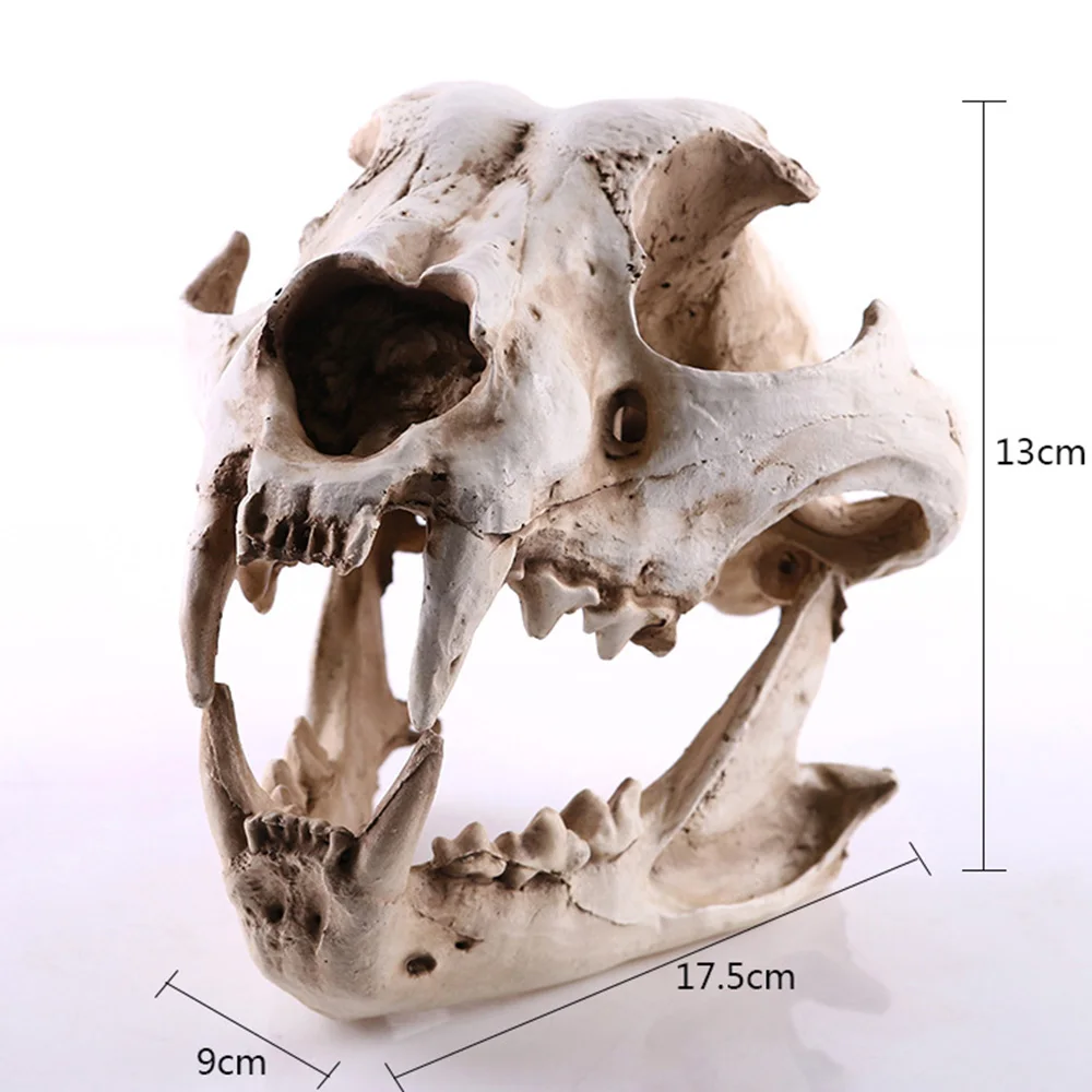 Смоляная модель черепа для животных, собак, кошек, волков, обучающая модель скелета, модель аквариума, украшение для аквариума, домашние украшения для Хэллоуина, ремесло