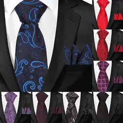 Новые мужские галстуки Пейсли классические галстуки и носовой набор для мужчин Формальные Цветочные Узкие галстуки для свадебной