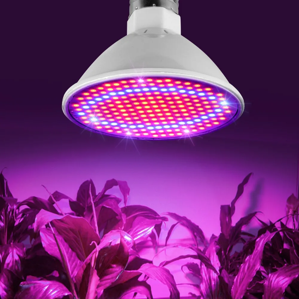 Полный спектр светодиодный светильник для выращивания 60 126 200 светодиодный светильник для семян гидро цветок теплица Veg Крытый сад Гидропоника E27 220 В